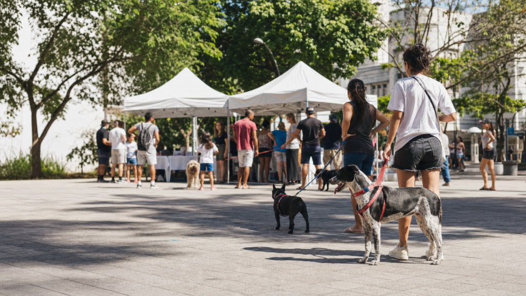 Quando a agenda pet vai para a praça, a conversa pode sair da bolha dos tutores