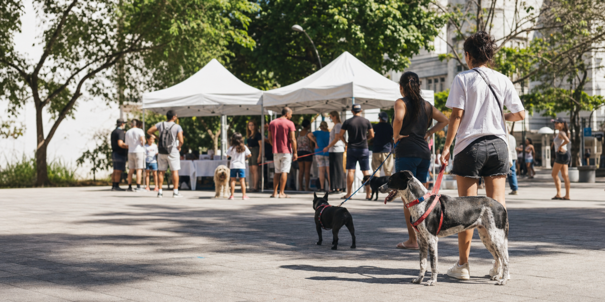 Quando a agenda pet vai para a praça, a conversa pode sair da bolha dos tutores