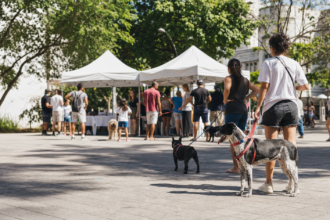 Quando a agenda pet vai para a praça, a conversa pode sair da bolha dos tutores