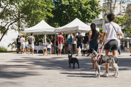 Quando a agenda pet vai para a praça, a conversa pode sair da bolha dos tutores