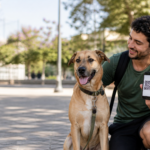 Cadastro de animais: quando a informação pode fortalecer a proteção pública